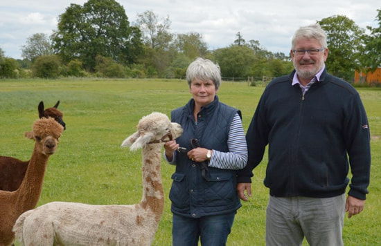 Contact Sandhill Alpacas